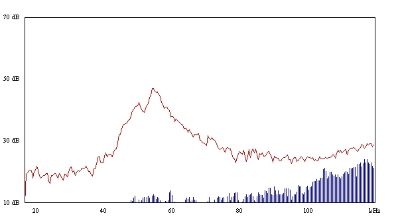 Image confirming the peak frequency of the Soprano pipistrelle at 55kHz.